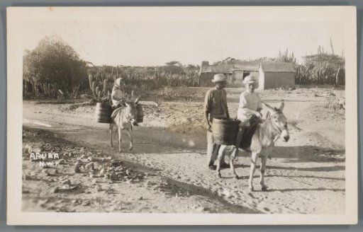 Two children on donkeys with loads and a walking man