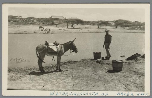 Water source in Aruba, N.W.I.