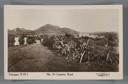 Curaçao, D.W.I. - Country Road