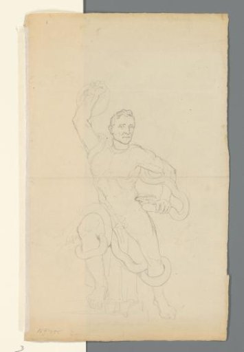 Politician as Laocoön