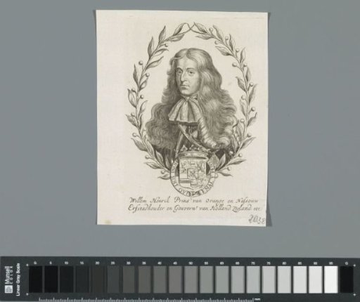 Portrait of William III, Prince of Orange