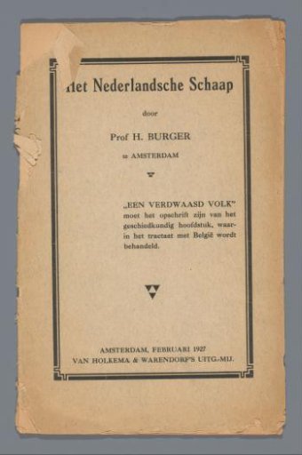The Dutch Sheep