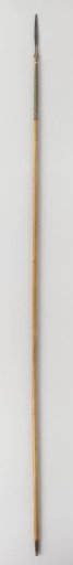 Lance from the armour rack of Governor-General J.C. Baron Baud