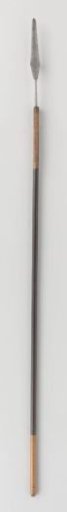 Lance from the armoury of Governor-General J.C. baron Baud