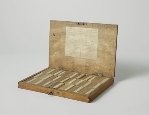 Box Containing Twenty-Three Samples of Wood from Surinam