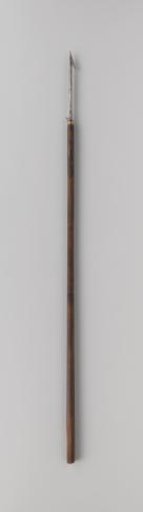 Harpoon captured on Lombok in 1894