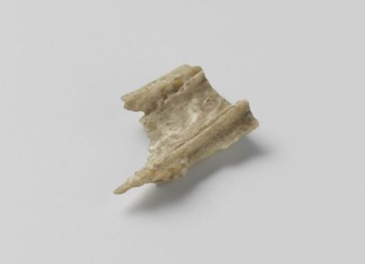 Two pieces of bone from the hip of Hendrik Casimir I