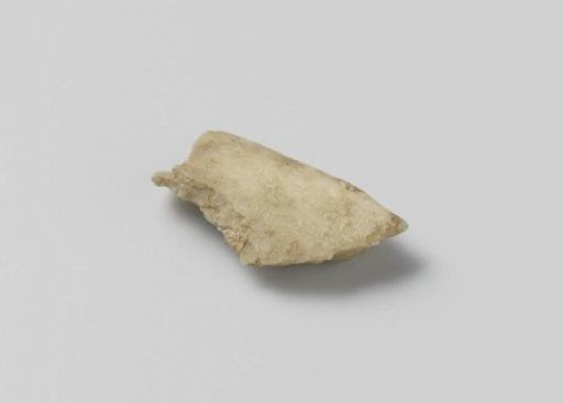 Two pieces of bone from the hip of Hendrik Casimir I