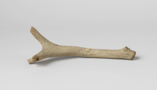 Beam of a stag's antler, found in 1724 during excavations in the Hillegommerbeek