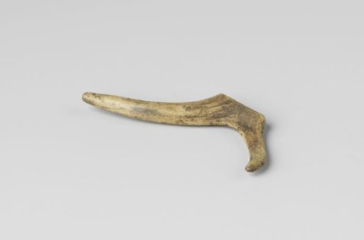 Antler tine of a roe deer, found in 1724 during excavations in the Hillegommerbeek