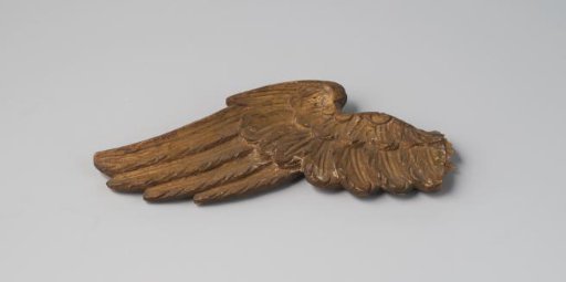 Fragment of a wing