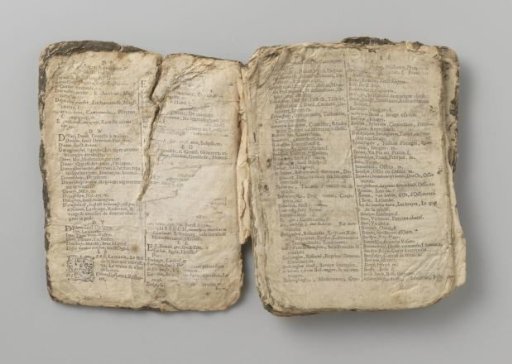 Dutch-French dictionary