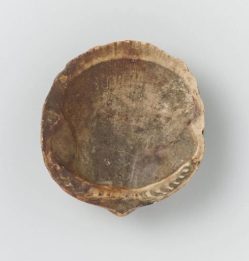 Shell or Paint Shell