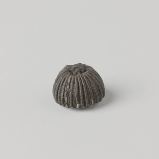 Knob