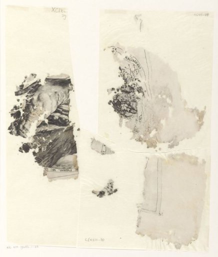 Fragments of a print of a lion