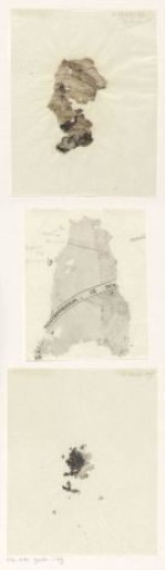 Loose fragments of a print of a lion