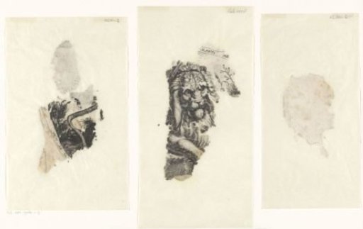 Fragment of a print of a lion