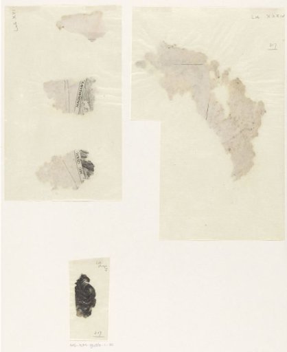 Loose fragments of a print of a lion