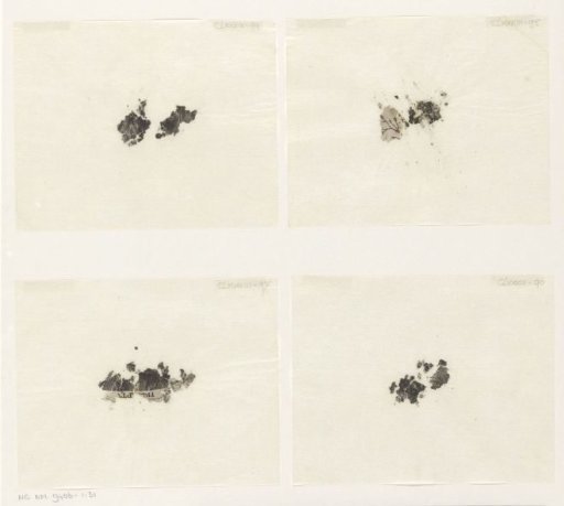 Loose fragments of a print of a lion