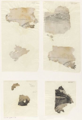 Loose fragments of a print of a lion