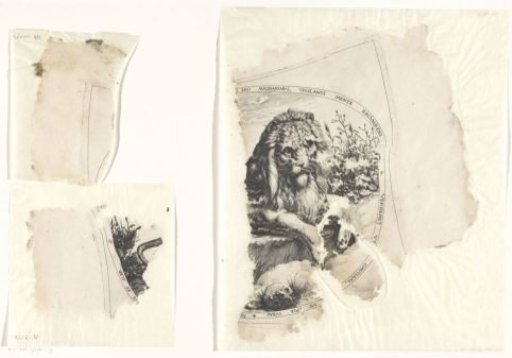 Fragments of a print of a lion