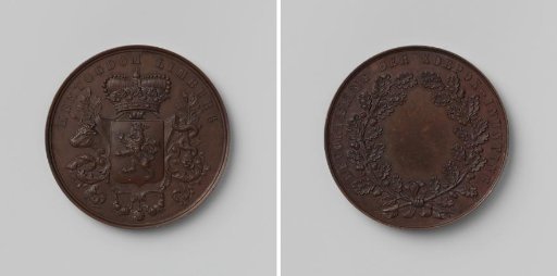 Promotion of Vaccination, medal awarded by the province of Limburg