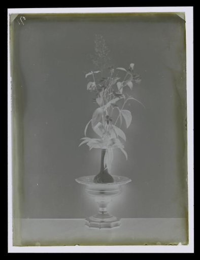 Still life with a vase of flowers