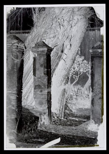 View in a garden, presumably in Rome