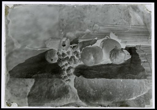 Still life with figs, grapes and peaches