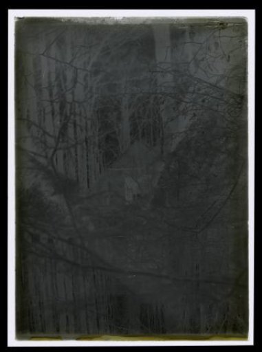 Wooden house in a forest