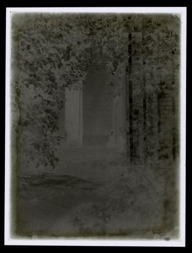 Corner of a Garden