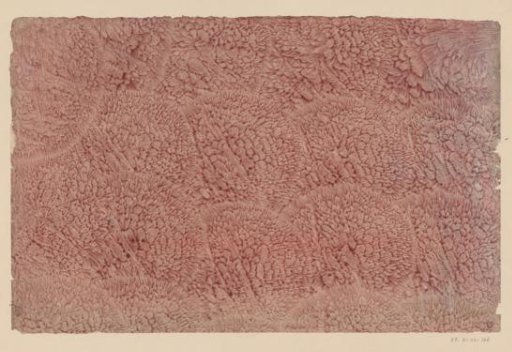 Stiffened paper in red with embossed floral motif