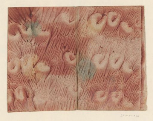 Veined stiffened paper with color stains of red, purple, yellow and green with embossed motif of scrolls