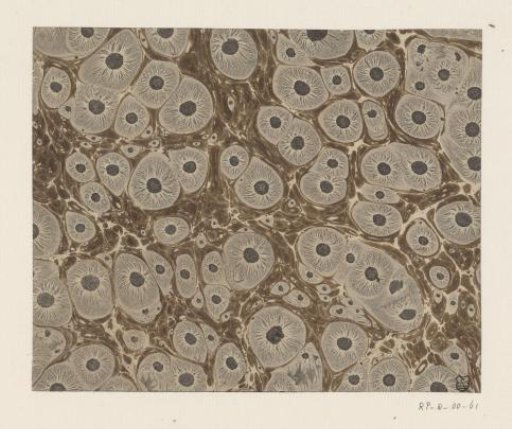Tiger's eye marble in brown and grey