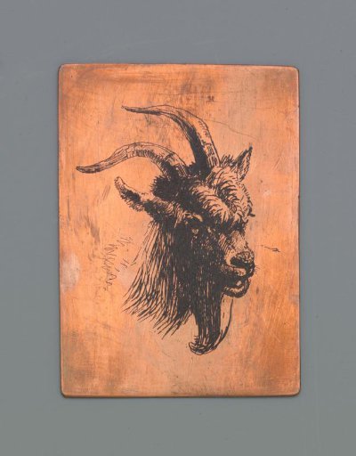Head of a Ram