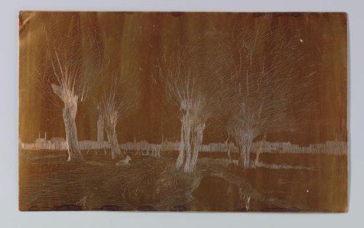 Willows by the ditch near Binckhorstlaan in The Hague