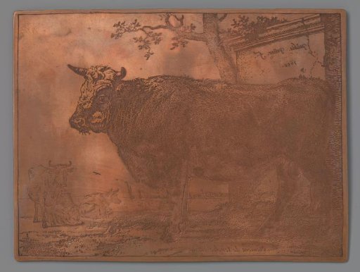 Bull