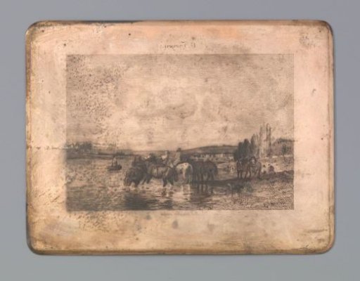 Horses in the water