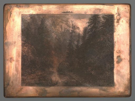 Mountain river among trees