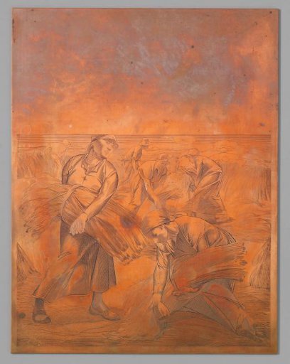 Women Working in the Fields
