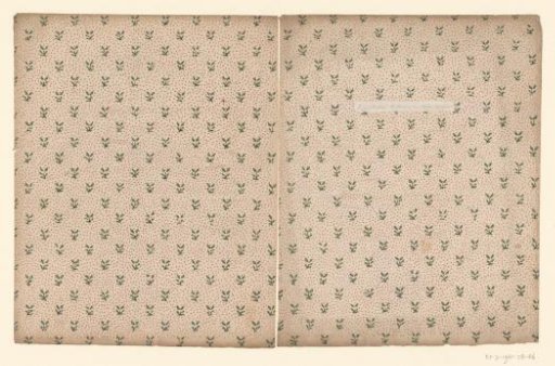 Two sheets with scattered pattern of branch on a continuous point ground