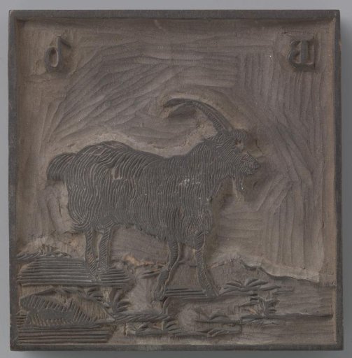 A goat, as a representation of the letter B