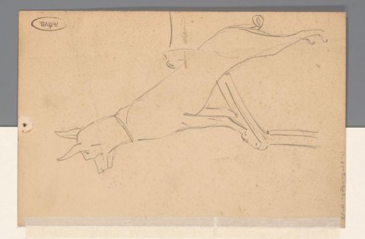 Dog with Forepaws on a Railing