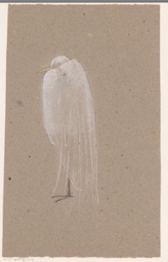 Great silver heron