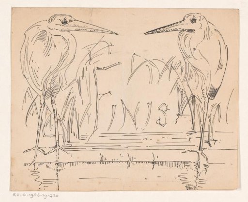 Two herons by the water