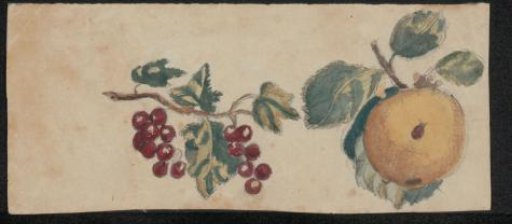 Fruits