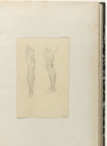 Two studies of a leg