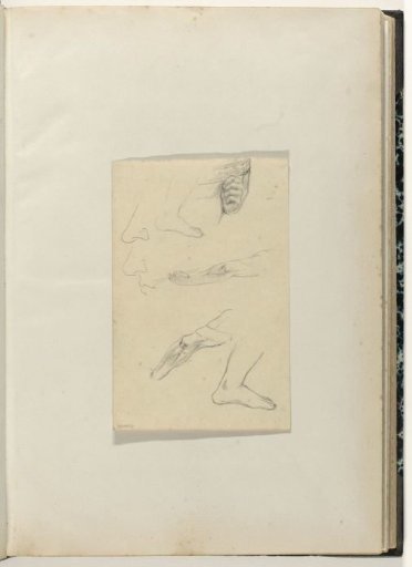 Studies of body parts