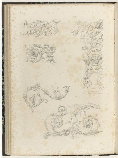 Five ornaments with leafy vines