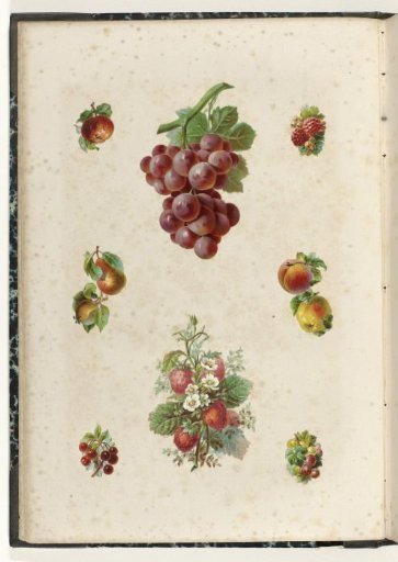 Eight poetry plates with fruits